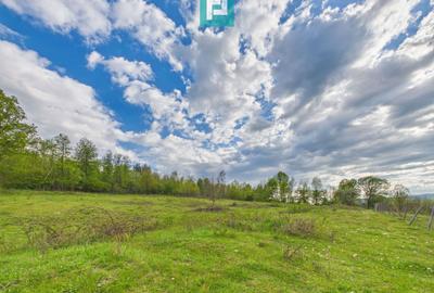 Casă cu teren de 17.681 mp, în loc. Hălmăgel, Arad - 19