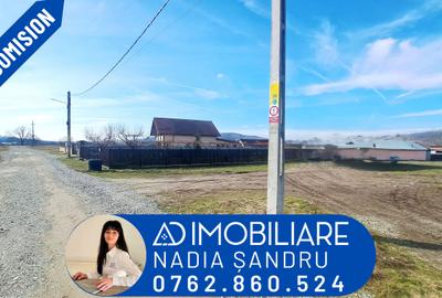 Teren Construcții intravilan de 3725 mp, în Bumbești-Pițic