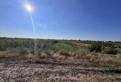 Teren intravilan, 4700 mp, dublu front stradal, la marginea Pădurii Cornetu - 7