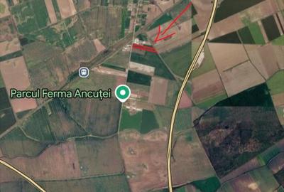 Teren agricol intravilan de 9673 mp, în Moara Vlăsiei