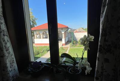 Casa 'din vis' frumoasa ,cocheta, la sol, caramida, 2014, 980 mp teren, M.Kogaln - 22
