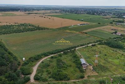 Teren intravilan Peris 10.000 mp pt complex de case - 6