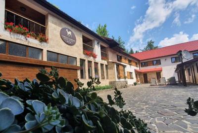 Spațiu comercial, de 600.00 mp, în Firiza