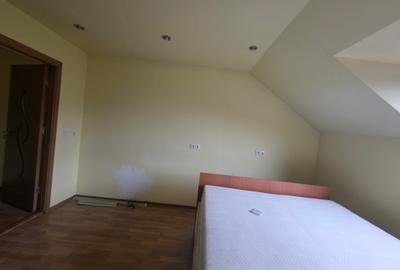 Vand casa singur in curte cu garaj, pod si foisor Sanpetru-Bod - 17