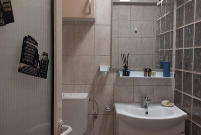 Apartament 2 camere decomandate, mobilate si utilate modern, zona Mazepa 2 - 10