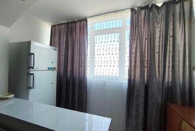 Apartament 1 camera, spatios, Centrala termica - Aer conditionat, View - 7