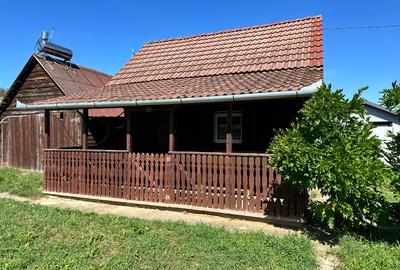 Casa din lemon cu teren in Uileacu de Munte - 1