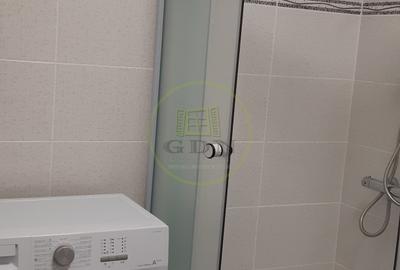 Apartament 2 camere de inchiriat Doamna Stanca - 15