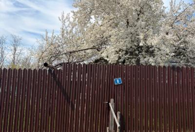 Casa langa lac!Balta Mostistea la o aruncatura de bat - 10
