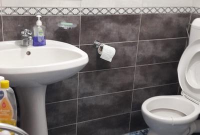 Garsoniera Gara de Nord/ Pret Usor Negociabil/ Pet Friendly - 5