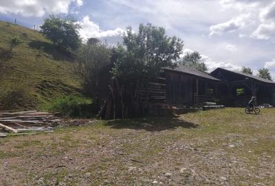 Vind teten intravilan in  Margau - 5