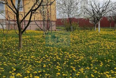 House for sale, 5 Rooms, 230 sqm, 1000 sqm, Bistrița - 1