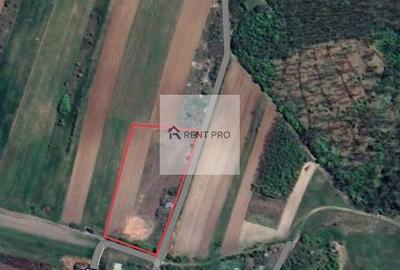 Teren de 11.000 mp cu casă și teren agricol | La 40 km de București | - 14