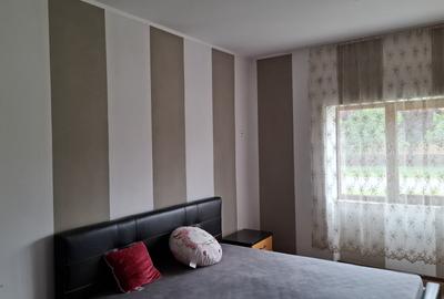 Casa 3 camere  recent renovata in Nadlac - 6