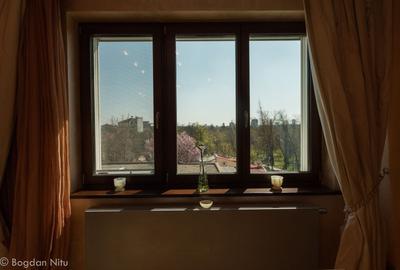 Penthouse de Colecție în Nordul Capitalei  cu Vedere Directă către Parc - 33