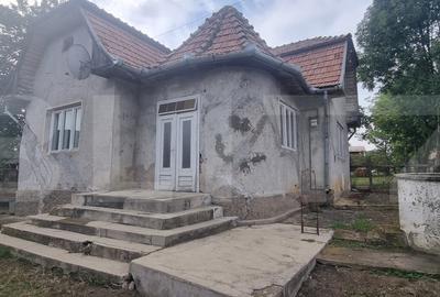Casă individuală cu 2 camere în Iacobeni
