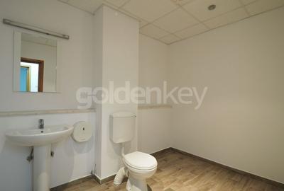 Apartament generos cu 9 camere | langa metrou si parc | rezidenta/birouri - 11