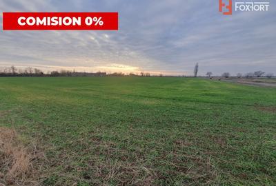 COMISION 0% Teren intravilan industrial 28.395 mp la sosea in Sag - 6