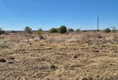 Teren intravilan Zona Veterani Sud - 2