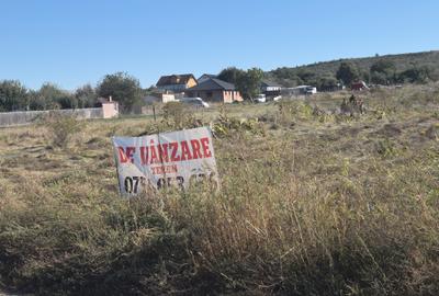 Cercu , Strada Hotarului , 3 km de cartier Visoianu , 16.500 euro - 7