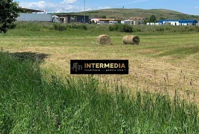 Teren Construcții intravilan de 9400 mp, în Bărăbanț