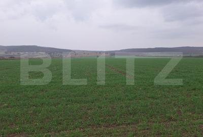 Teren extravilan de 10000 mp, în Cugir