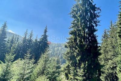 Teren Intravilan Predeal - Acces direct DN - Priveliste deosebita - 34
