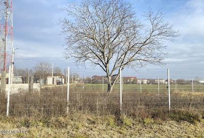 Afumati - Str. Iasomiei, 2409 MP, stradal, intravilan, deschidere 12 m - 10