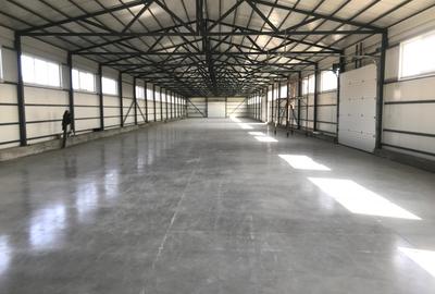 Hală 984 mp Iris – Calea Muncii | 3 porți TIR | Depozit/Producție - 4