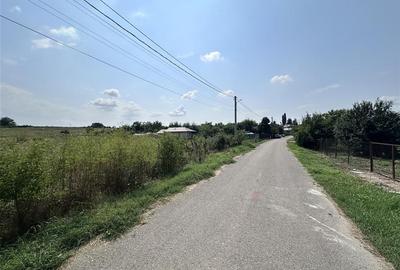 Teren Construcții intravilan de 2782 mp, în Crevedia Mare