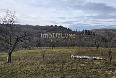 Teren intravilan, 6000mp, priveliste, comuna Baciu, zona Suceagu - 5