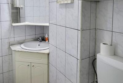 Dristor - 2 camere cu centrala la doua minute de metrou - pet friendly - 17