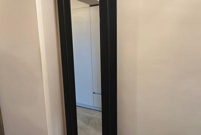 Apartament 2 camere decomandat strada Somesului - 9