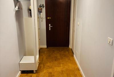 Piata ALBA IULIA/DECEBAL,nestradal,apartament superb,ideal locuit,utilat complet - 10