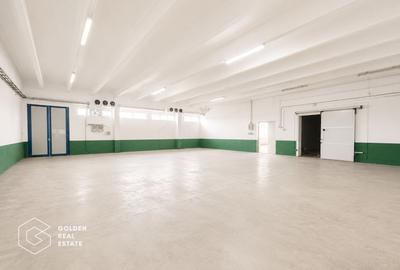 Hala Industriala Premium, Zona de Sud, Timisoara - 1