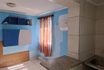 Casa cu teren 1662 mp teren, Golesti - 8