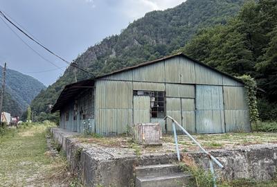 Teren de vânzare – 13.500 mp | DN7 – Valea Oltului | Brezoi - 12