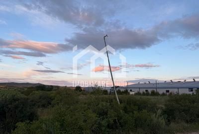 Teren – 7.194 mp | Răscruci – Zona Tetarom - 4
