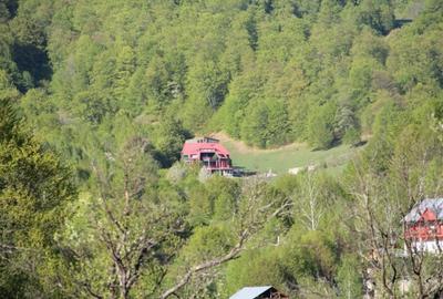Casa de Vacanta / Cabana / Vila / Pensiune / Lepsa Vrancea -Munte - 5