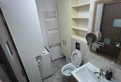 Proprietar inchirize garsoniera 36 mp Agatha Barsescu - 9