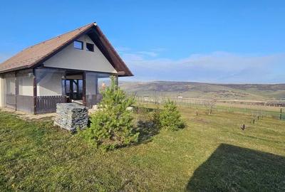 Casa de vanzare Daia Noua 1300mp2 - 5