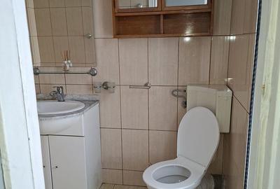 Vila singur curte, reprezentativa, renovata la stadard superior - 11