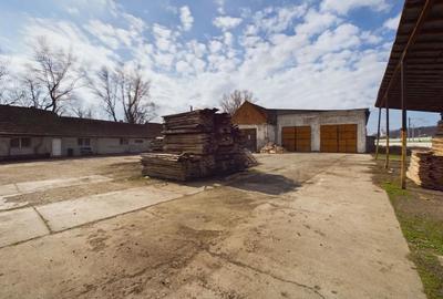 Fabrica prelucrare lemn de vanzare – Lipova, Arad - 4