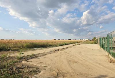 Teren intravilan în orașul Măgurele, la limita cu Bucureștiul - 10