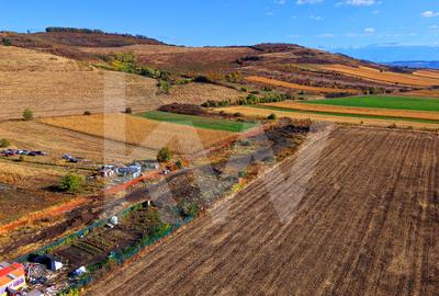 Teren intravilan 2.000 mp, PUZ aprobat  Strada Viile Sibiului Sibiu -DN14 - 19