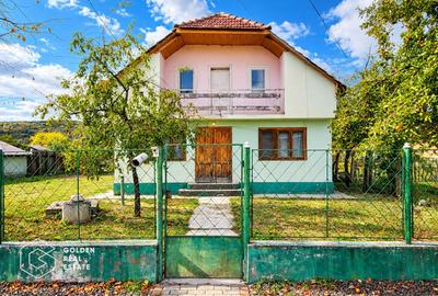 Casa P+M, teren 2199 mp, localitatea Ususau - 1