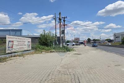 Hala si teren, depozitare, parcare-Spațiu industrial - 20