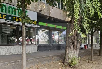 Spațiu comercial 140 mp | Craiovița Nouă – George Enescu - 4