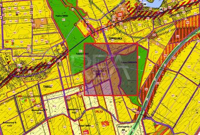 Teren agricol intravilan de 1000 mp, în Tamași