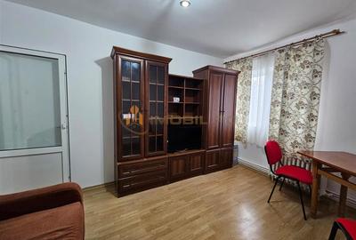Inchiriere apartament 1 camera - Frumoasa/Complex Siraj - 7